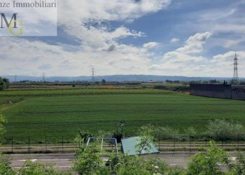 Foto 5 - Terreno agricolo San Bonifacio - foto 5