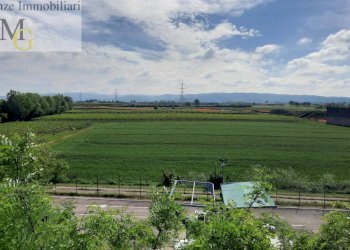 Foto 6 - Terreno agricolo San Bonifacio - foto 6