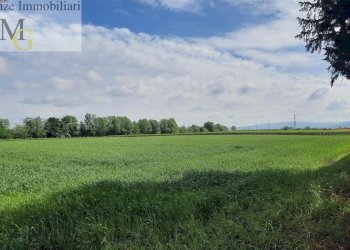 Foto 7 - Terreno agricolo San Bonifacio - foto 7