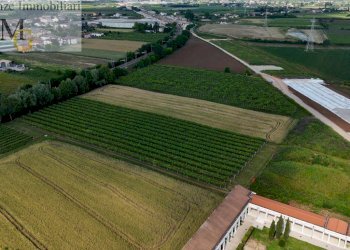 Foto 8 - Terreno agricolo San Bonifacio - foto 8