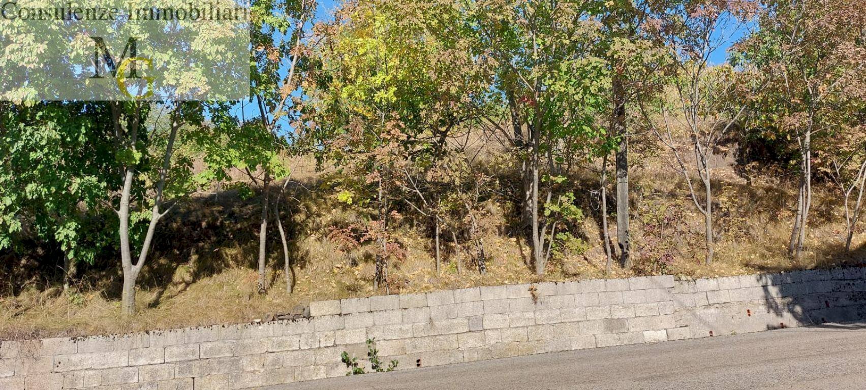 Foto 1 - Agricultural land Vestenanova - photo 1