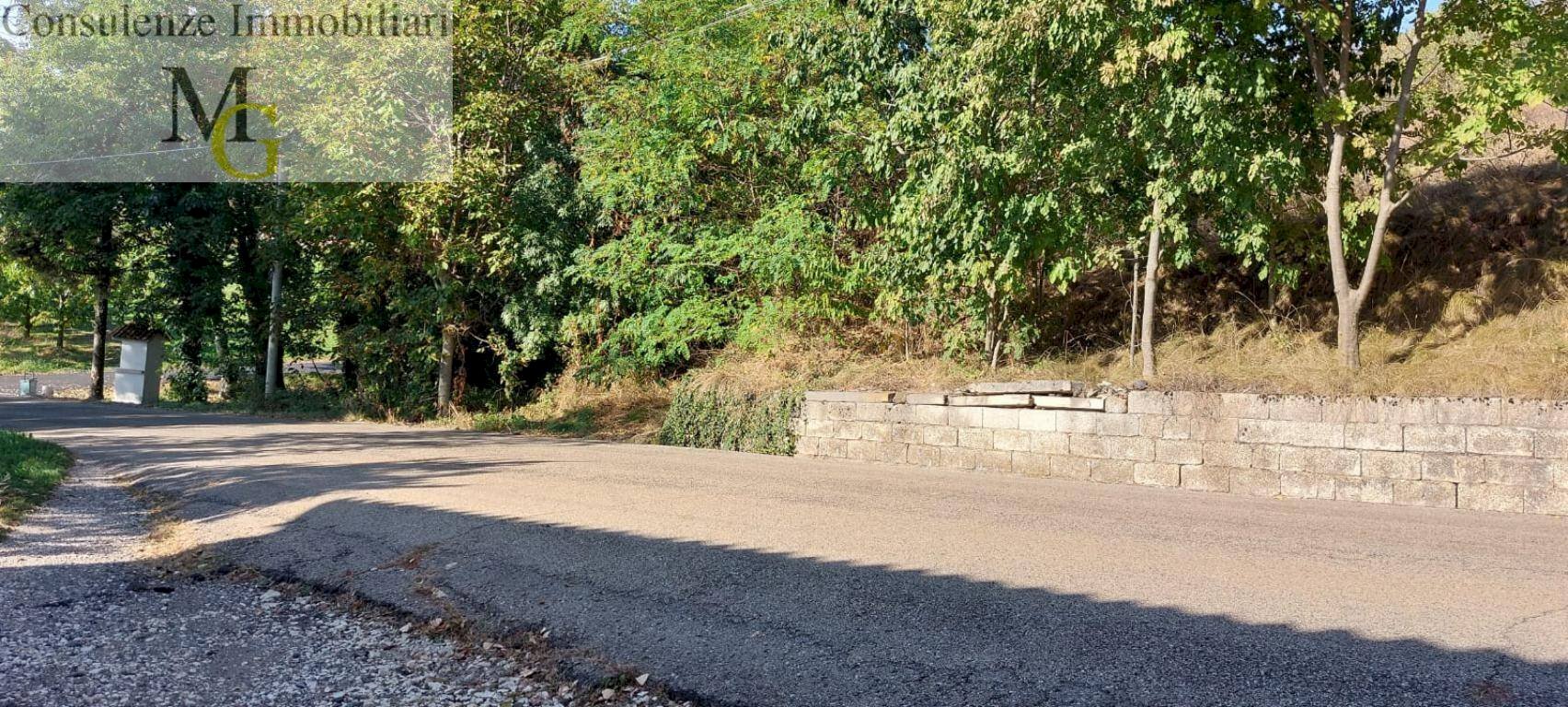 Foto 2 - Agricultural land Vestenanova - photo 2