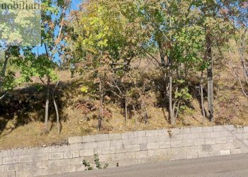 Foto 1 - Agricultural land Vestenanova - photo 1