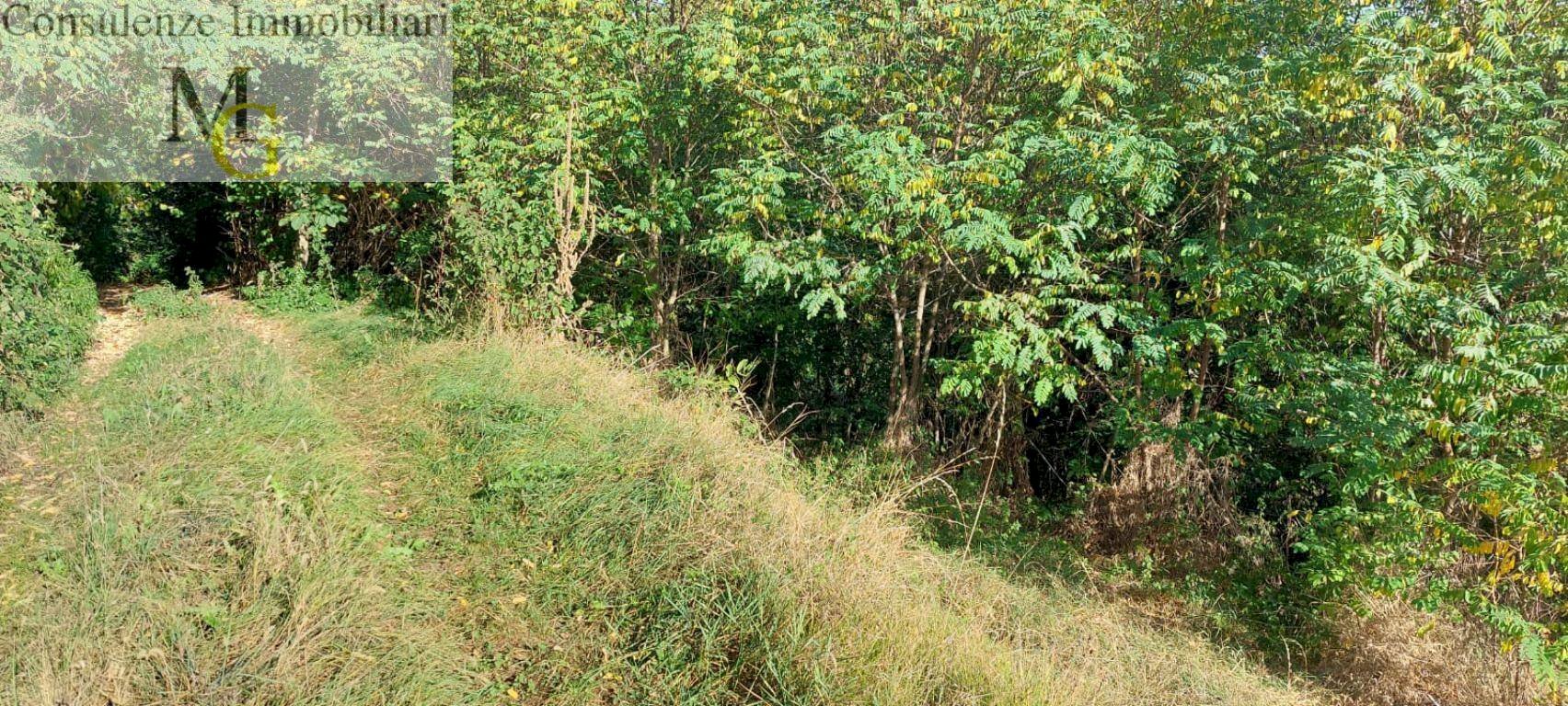 Foto 1 - Agricultural land Vestenanova - photo 1