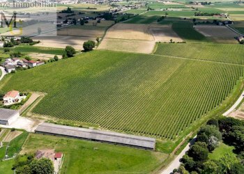 Foto 1 - Agricultural land Pojana Maggiore - photo 1