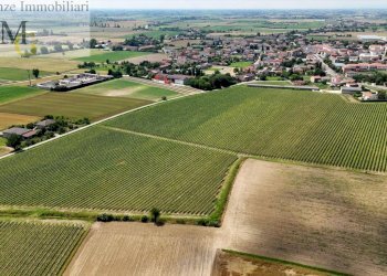 Foto 2 - Agricultural land Pojana Maggiore - photo 2