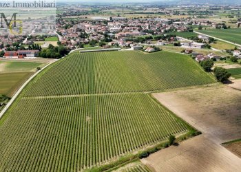 Foto 3 - Agricultural land Pojana Maggiore - photo 3