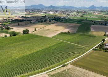 Foto 5 - Agricultural land Pojana Maggiore - photo 5