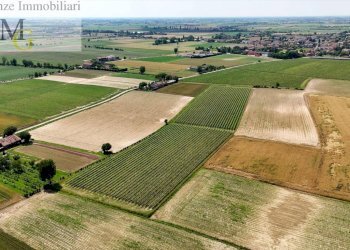 Foto 6 - Agricultural land Pojana Maggiore - photo 6