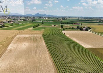 Foto 7 - Agricultural land Pojana Maggiore - photo 7