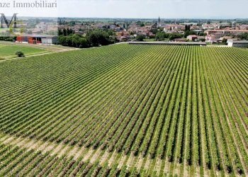 Foto 8 - Agricultural land Pojana Maggiore - photo 8