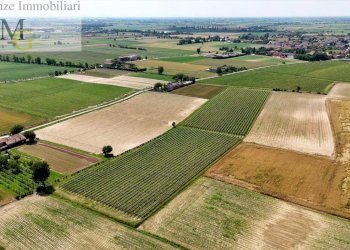 Foto 9 - Agricultural land Pojana Maggiore - photo 9