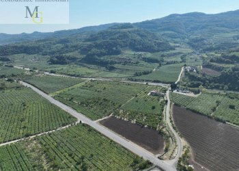 Foto 1 - Terreno agricolo Montecchia di Crosara - foto 1