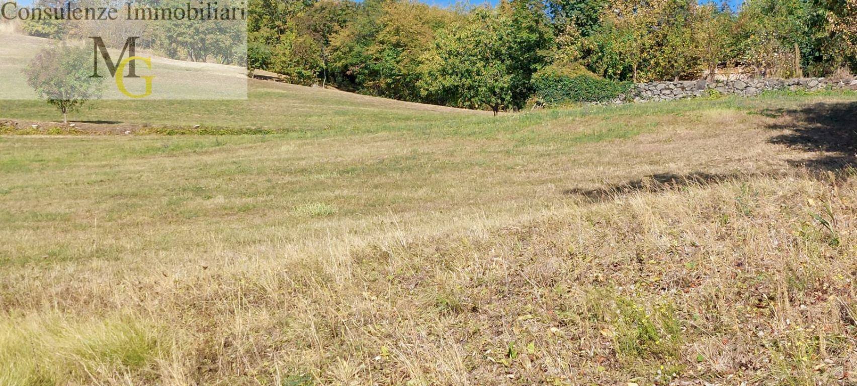 Foto 1 - Agricultural land Vestenanova - photo 1