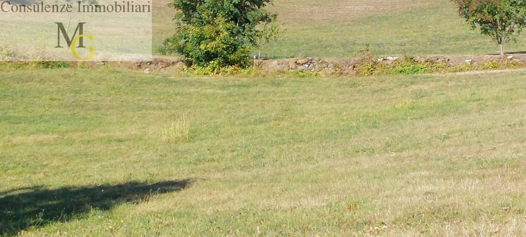 Foto 2 - Agricultural land Vestenanova - photo 2