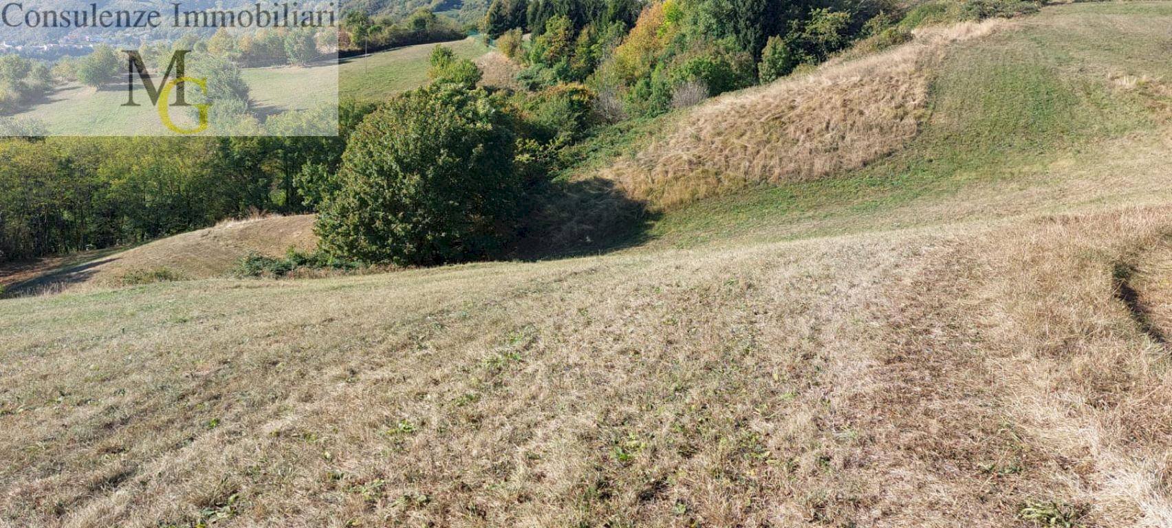 Foto 3 - Agricultural land Vestenanova - photo 3