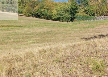 Foto 1 - Agricultural land Vestenanova - photo 1