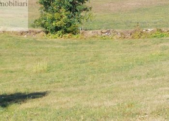 Foto 2 - Agricultural land Vestenanova - photo 2