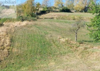 Foto 4 - Agricultural land Vestenanova - photo 4