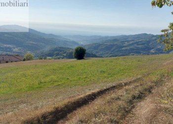 Foto 6 - Agricultural land Vestenanova - photo 6