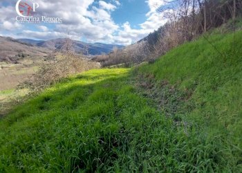 Foto 5 - Rustico via Celle
 
50, Dicomano - foto 5