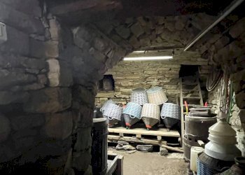 Foto 48 - Independent house regione castagnito
 
17, Pezzolo Valle Uzzone - photo 48