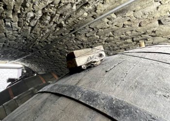 Foto 51 - Independent house regione castagnito
 
17, Pezzolo Valle Uzzone - photo 51