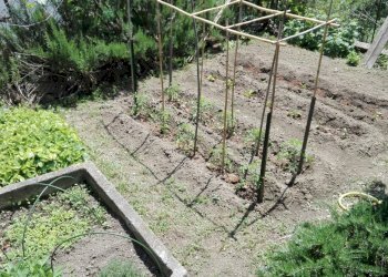 Foto 5 - Villa a Schiera Dego - foto 5