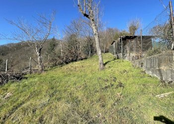 Foto 15 - Casa indipendente Cairo Montenotte - foto 15