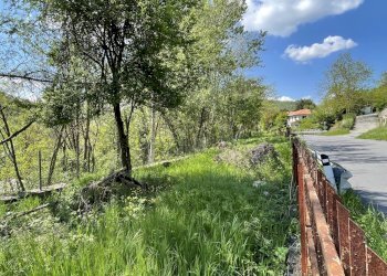 Foto 8 - Casa indipendente Piana Crixia - foto 8