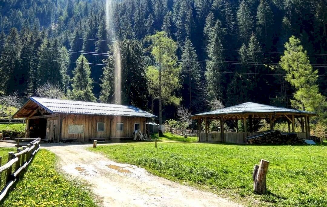 Foto 3 - Azienda agricola Località Piana
 
3, Carona - foto 3