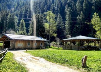 Foto 3 - Azienda agricola Località Piana
 
3, Carona - foto 3