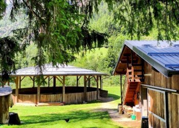 Foto 4 - Azienda agricola Località Piana
 
3, Carona - foto 4