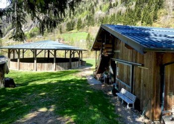 Foto 5 - Azienda agricola Località Piana
 
3, Carona - foto 5