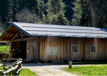 Foto 6 - Azienda agricola Località Piana
 
3, Carona - foto 6