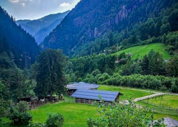 Foto 7 - Azienda agricola Località Piana
 
3, Carona - foto 7