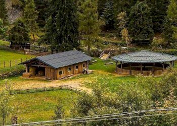 Foto 8 - Azienda agricola Località Piana
 
3, Carona - foto 8