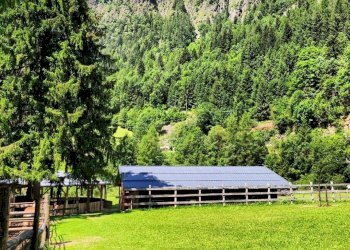 Foto 10 - Azienda agricola Località Piana
 
3, Carona - foto 10