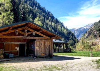 Foto 15 - Azienda agricola Località Piana
 
3, Carona - foto 15