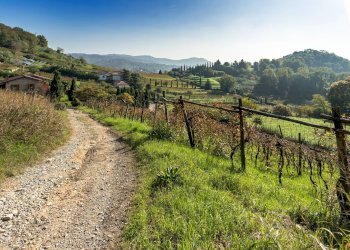 Foto 34 - Villa Via Medolago, Scanzorosciate - foto 34