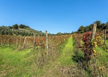 Foto 35 - Villa Via Medolago, Scanzorosciate - foto 35