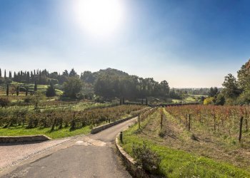 Foto 36 - Villa Via Medolago, Scanzorosciate - foto 36