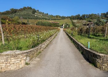 Foto 37 - Villa Via Medolago, Scanzorosciate - foto 37