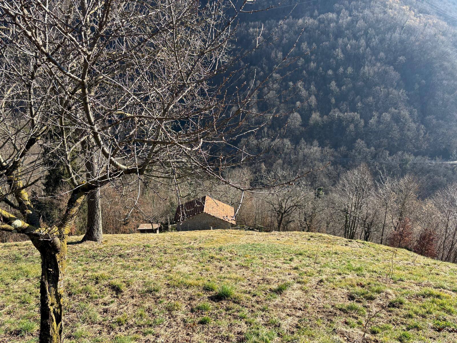 Foto 3 - Rustico VIA FOPPETTA, Val Brembilla - foto 3