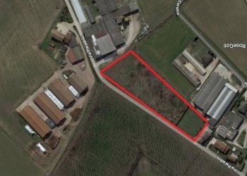 Foto 1 - Terreno edificabile Via Paradiso, Oppeano - foto 1