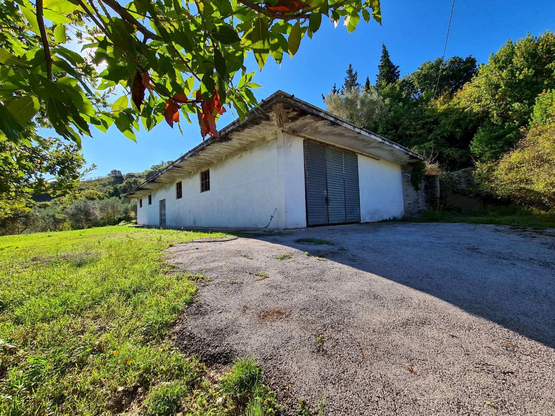 Foto 2 - Agricultural land contrada puglisi, Torchiara - photo 2