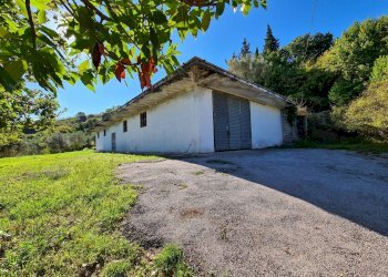 Foto 2 - Agricultural land contrada puglisi, Torchiara - photo 2