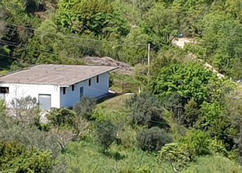 Foto 3 - Agricultural land contrada puglisi, Torchiara - photo 3