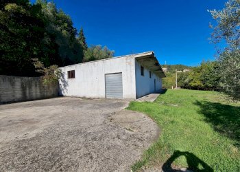 Foto 6 - Agricultural land contrada puglisi, Torchiara - photo 6