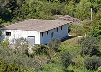 Foto 7 - Agricultural land contrada puglisi, Torchiara - photo 7